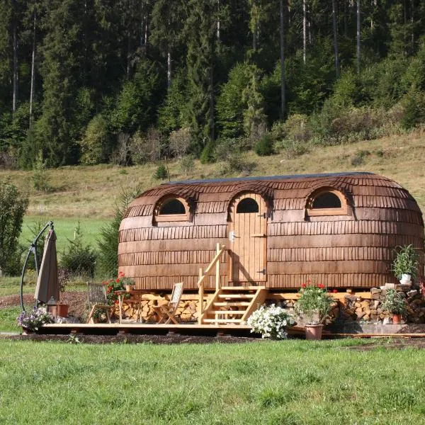 Igluhut Tiny House Winterberghof, hotel in Vöhrenbach