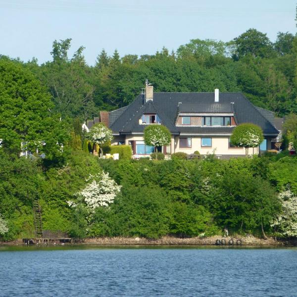 Fischreiher 1