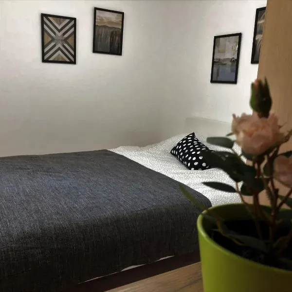 Small & Sweet Apartments, hotel in Belgrade