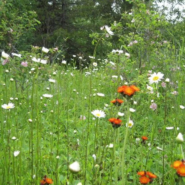 Kelowna में, होटल Wild Nature B&B