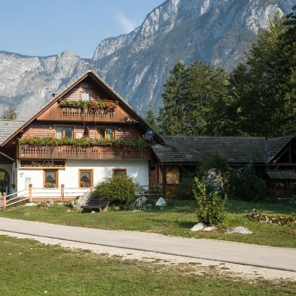 Hiša Erlah, hotel v destinaci Bohinj
