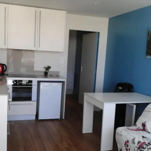 Appartement 250 mètres des pistes gourette, hotel in Gourette