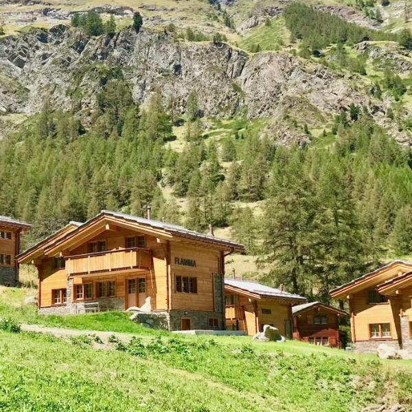 Element Chalets Zermatt, Zermatt