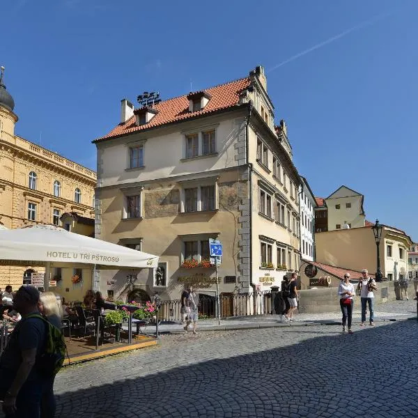 Hotel U 3 Pstrosu, ξενοδοχείο στην Πράγα