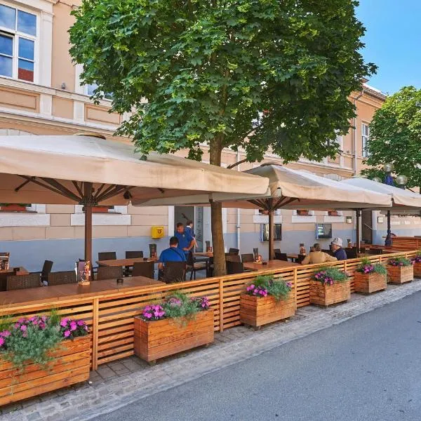 Hotel Slovenj Gradec, hotel v destinaci Slovinský Hradec