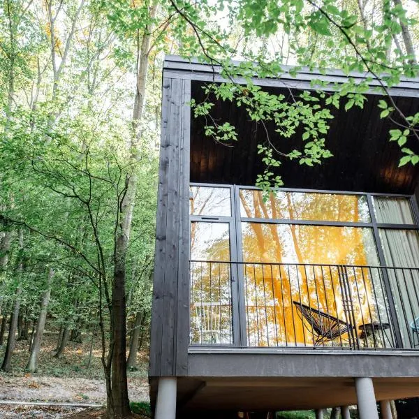 Buhta Vikingiv, hôtel à Vodniki