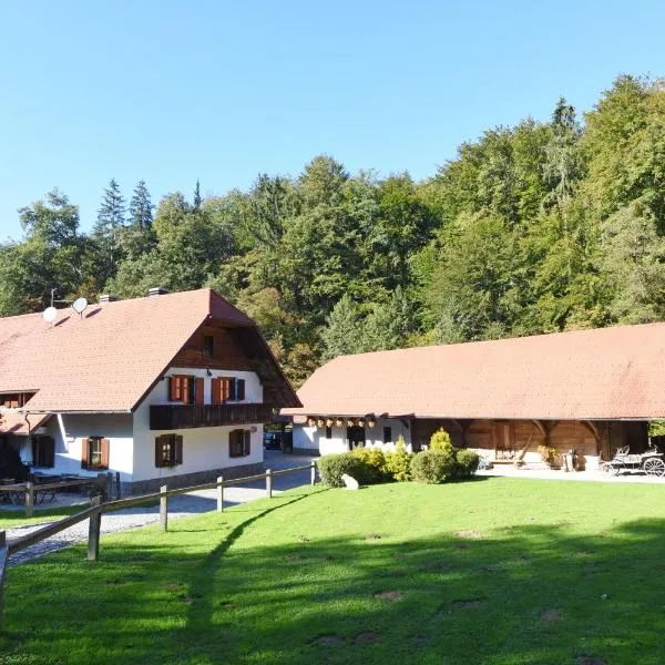 Domačija Šeruga Countryside hotel, hotel v destinaci Novo Mesto