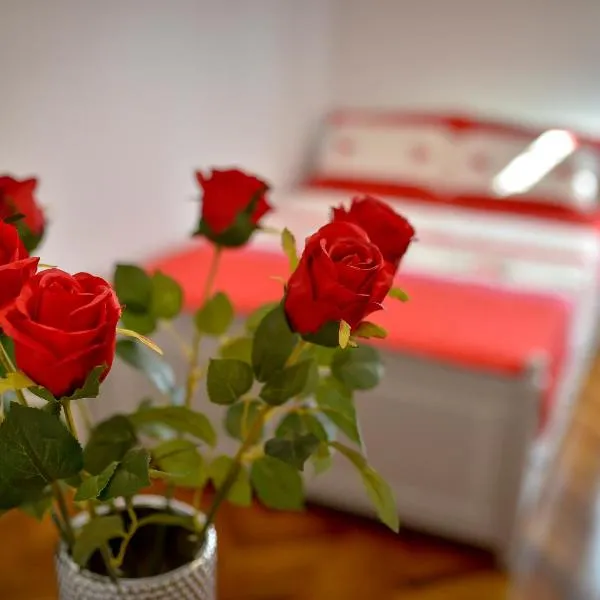 BĂLCESCU RESIDENCE, hotel in Sibiu