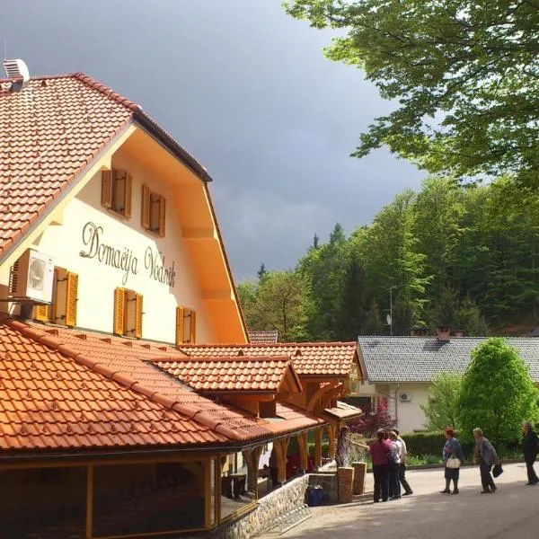 Domačija Vodnik & Apartments, hotel v destinaci Cerklje na Gorenjskem