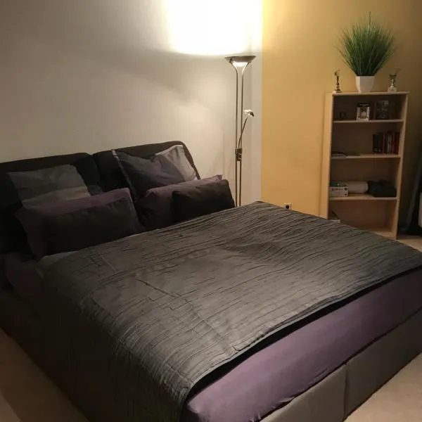 Kleine Wohnung im Grünen, Hotel in Dresden