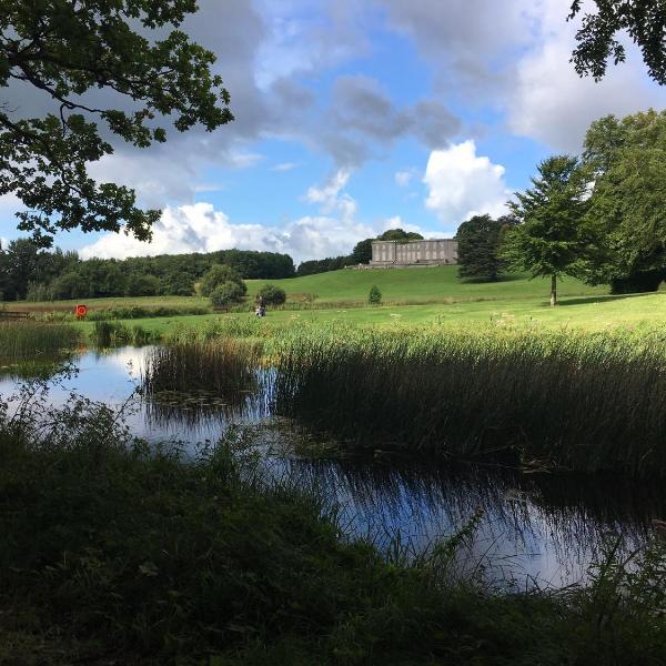 Curraghchase Cottage