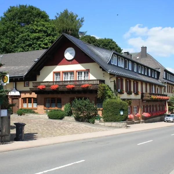 Privathotel Brügges Loui, Hotel in Willingen