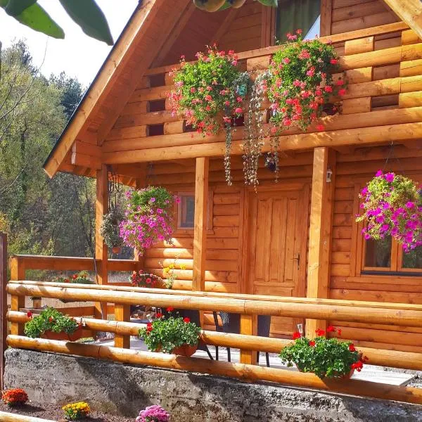 Brvnara Borovik, ξενοδοχείο σε Cetinje