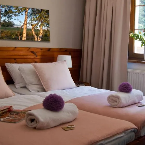 Hotel Górski Czarna Góra, ξενοδοχείο σε Stronie Śląskie