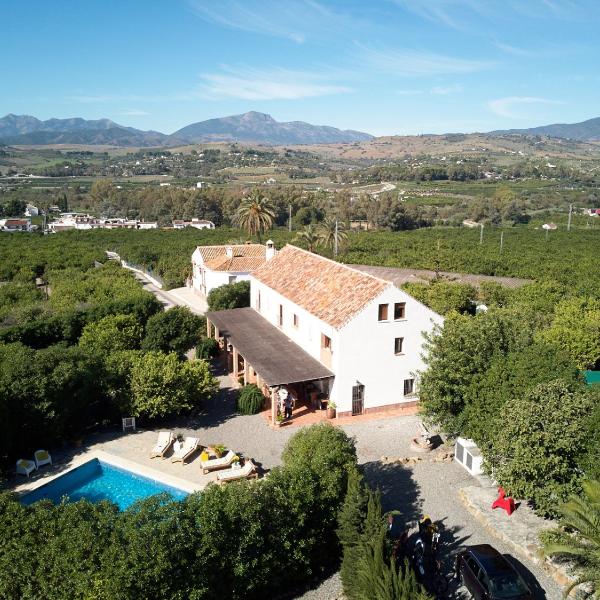 Finca Limón