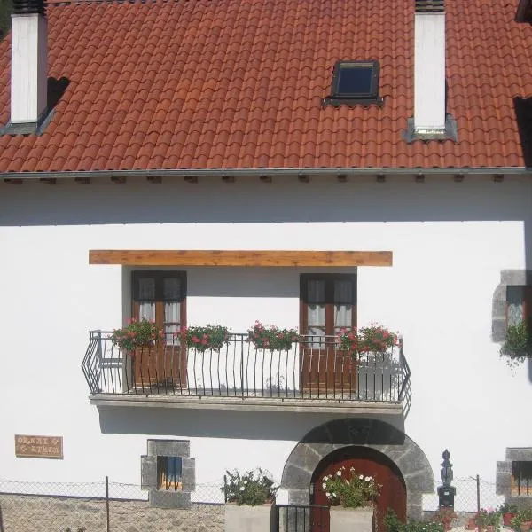 Casa rural Ornat Etxea, Hotel in Vidángoz