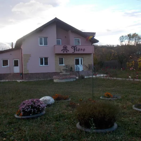 Casa Floro, hotel v destinaci Comăneşti