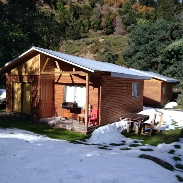 Cabañas El Toro - Radal Siete Tazas, hotel in Molina