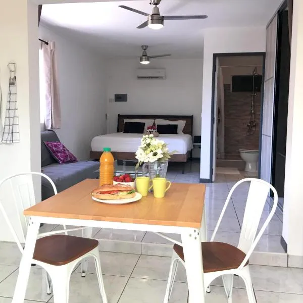 Iris suite, Hotel in Punaauia