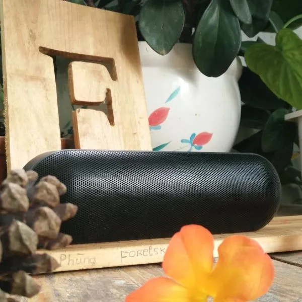 Forelsket 2, hotel in Da Lat