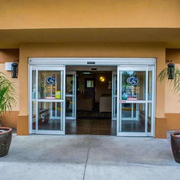 Comfort Suites Portland Southwest, hotel in Portland