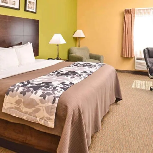 Sleep Inn & Suites Downtown Houston Near Convention Center, hotel in Houston