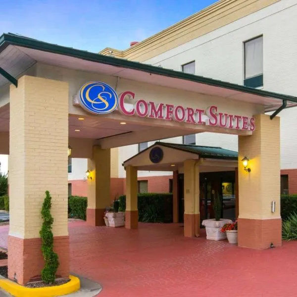 Comfort Suites Cumming-Atlanta near Northside Hospital Forsyth، فندق في كومينغ
