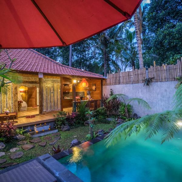 The Forest Villa Ubud