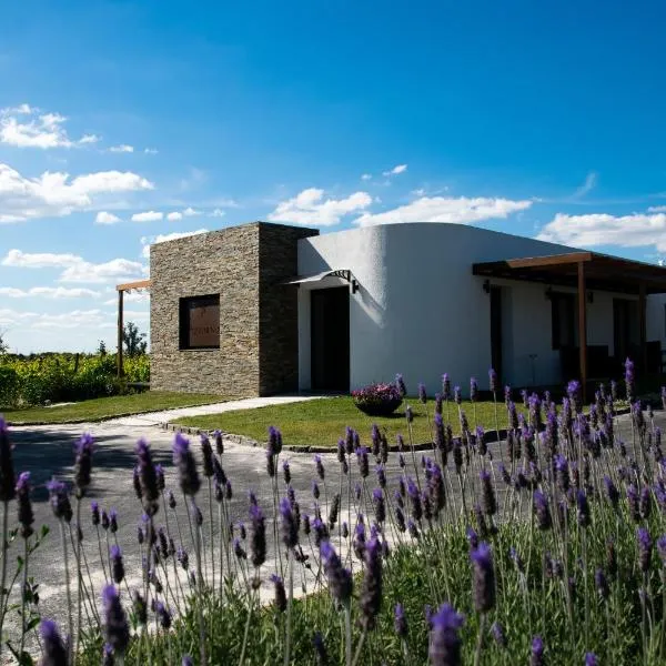 Pizzorno Lodge & Wine, hotel v destinaci Progreso