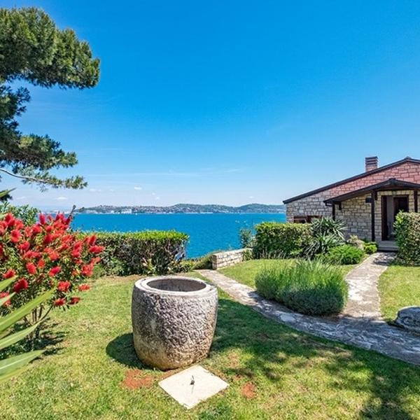 Villa Ana