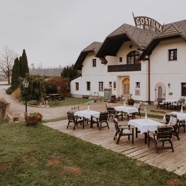 Koroška hiša Pri lipi, Boutique hotel, hotel v destinaci Muta