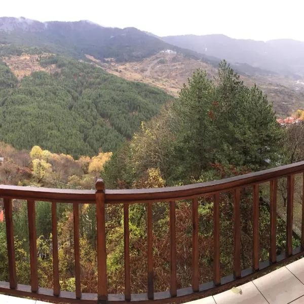 Hotel Anax, hotel di Metsovo