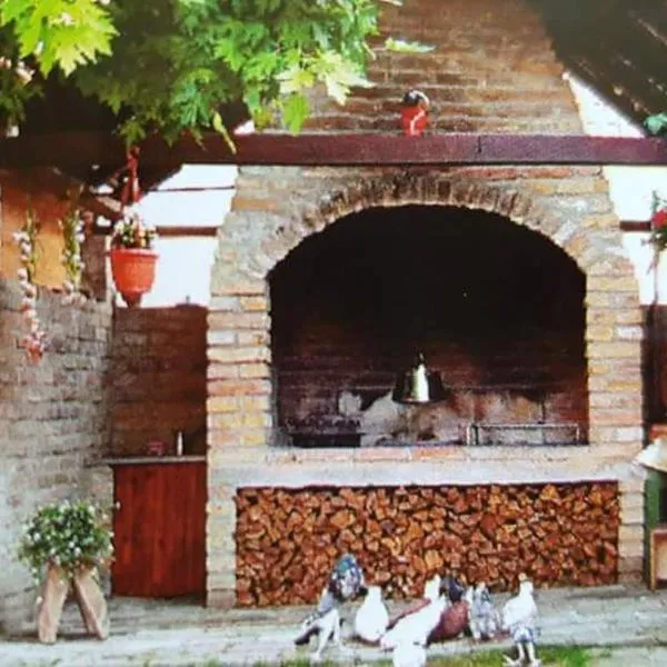 Apartman Kalinka, hôtel à Gajić