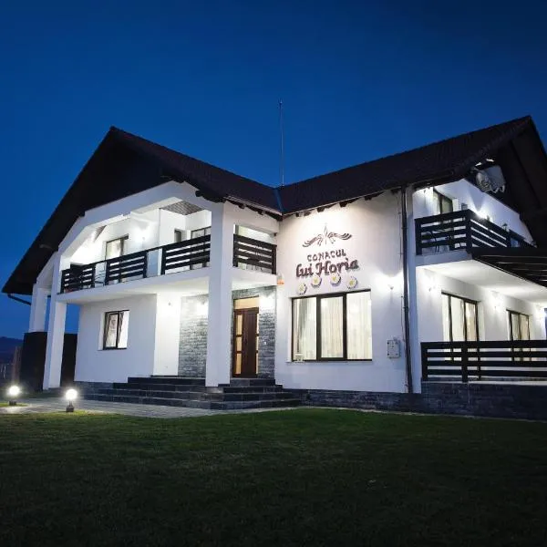 Pensiunea Conacul lui Horia, Hotel in Bistriţa