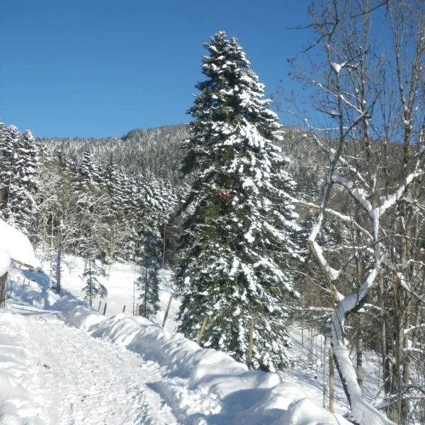 Gite IM-BERG, Hotel in Metzeral