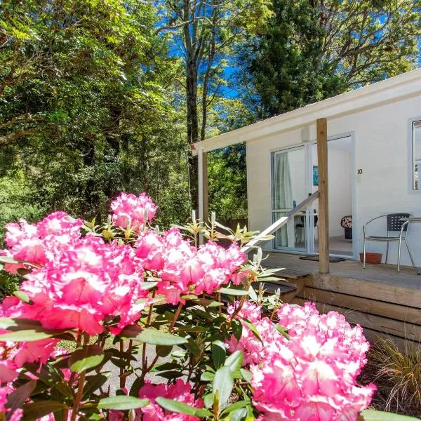 Ohakune TOP 10 Holiday Park, Hotel in Ohakune