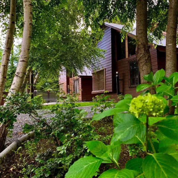 Cabañas El Roble Lican Ray - Licán Ray, Chile - Updated 2026: Prices ...
