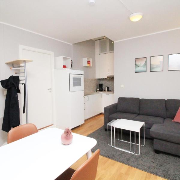 Nordic Host - City Center 2 Bed / 2 Bath - Skippergata - 3 minutes from station