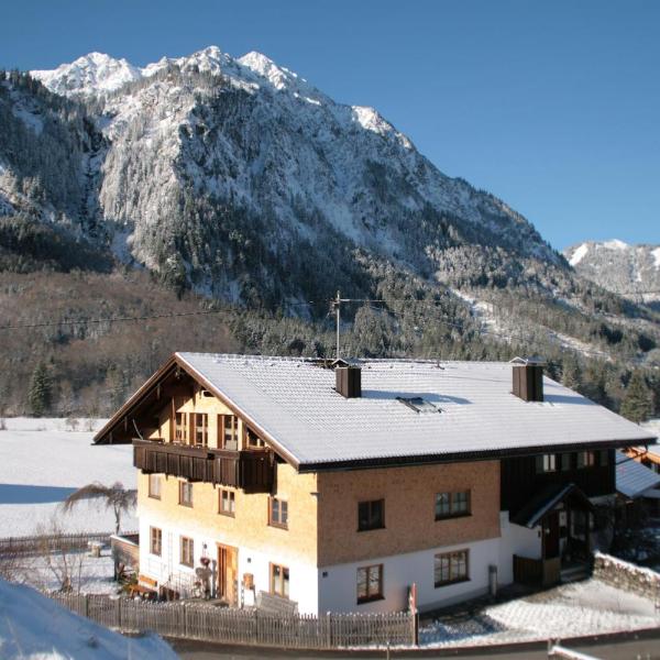 Haus Schindler
