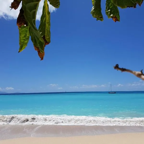 Dickenson Bay Oasis at Antigua Village、セントジョンズのホテル
