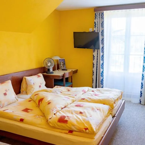 Gasthof zum Falken, hotel in Frauenfeld