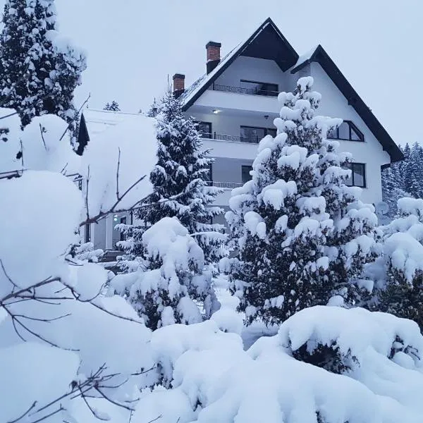 Pensiunea Almas，皮亞特拉尼亞姆茨的飯店