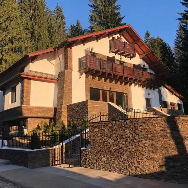 Platinvm B&B, hotel en Predeal