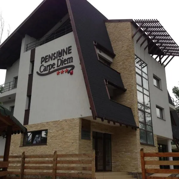 Pensiunea Carpe Diem, hotel in Râmnicu Vâlcea