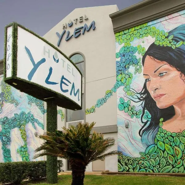 Hotel Ylem, hotel v destinaci Houston