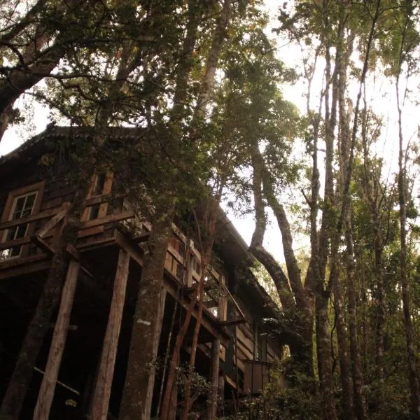 La Casita del Bosque，位于卡斯特鲁的酒店