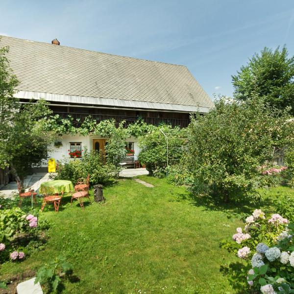 House, Garden and a Green Cat