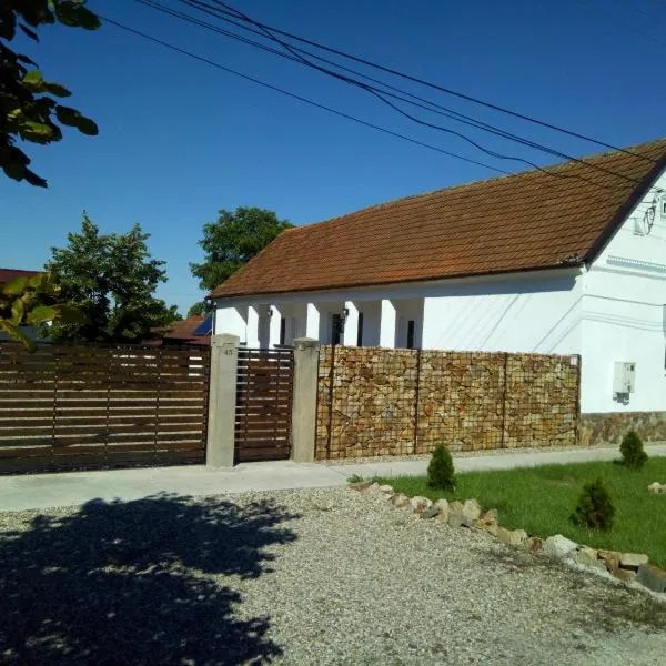 Casa Ago - Guest House, hotel in Păuliş