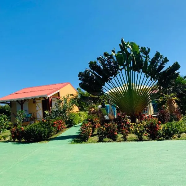 Les Palmes du Moulin, Hotel in Saint-Louis