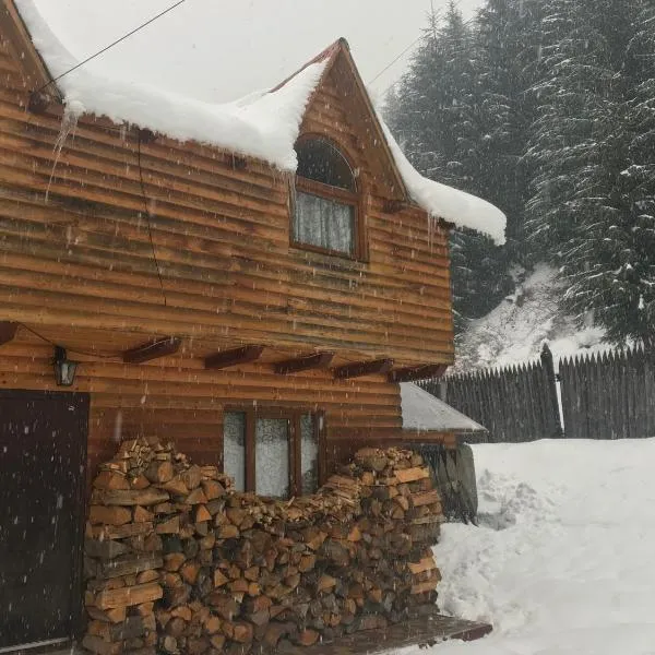 Shelest Vody, hotel in Rusʼka Mokra